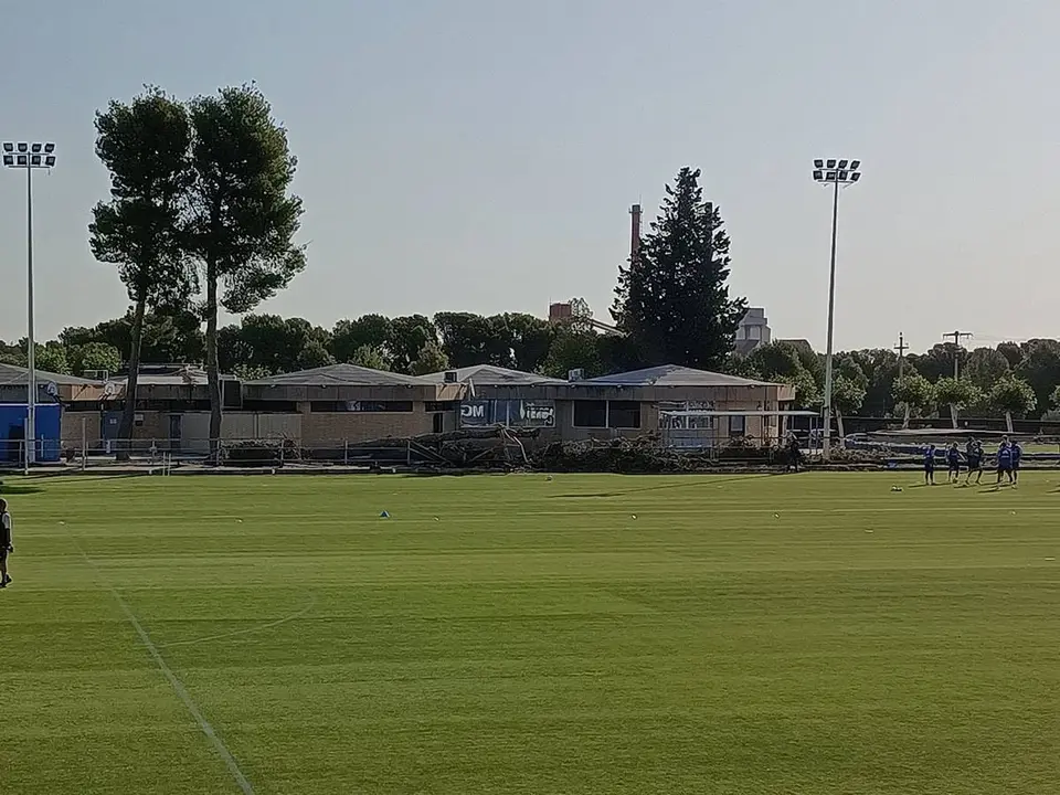 &Aacute;rbol ca&iacute;do en la Ciudad Deportiva tras la tormenta