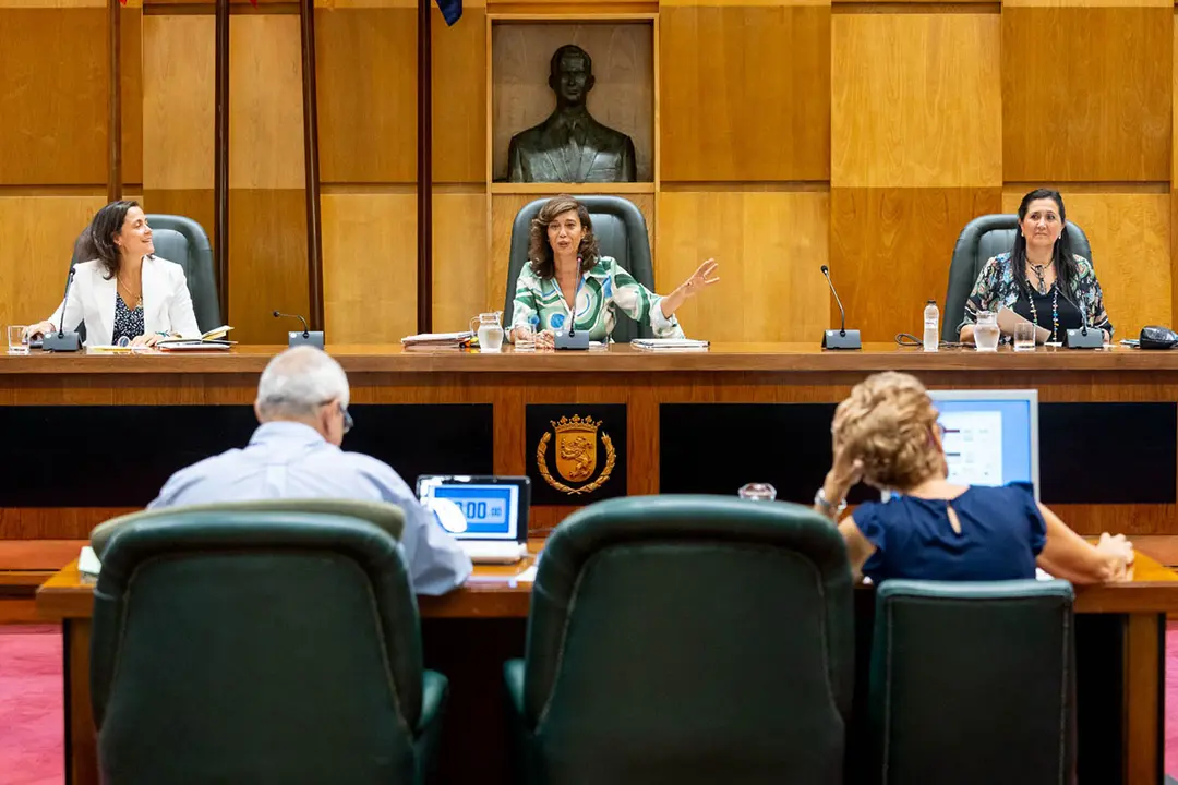 Mari&aacute;n Or&oacute;s durante la primera Comisi&oacute;n de Pol&iacute;ticas Sociales