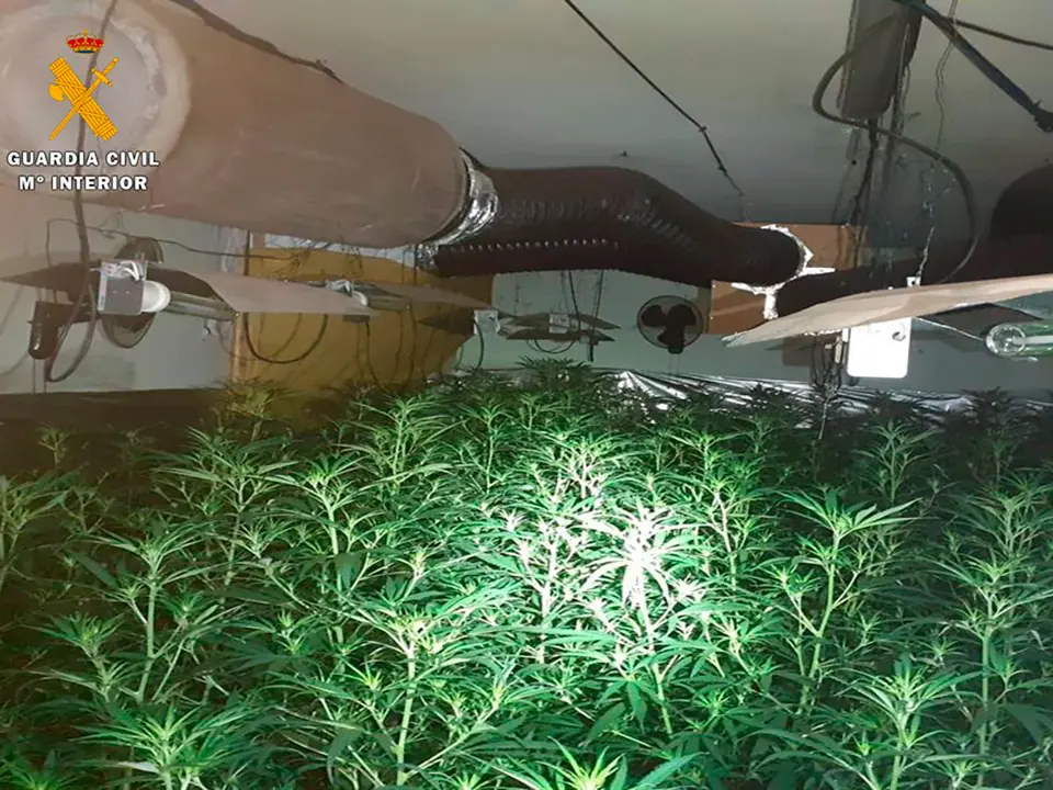 La droga se descubri&oacute; gracias a un incendio en octubre del a&ntilde;o pasado