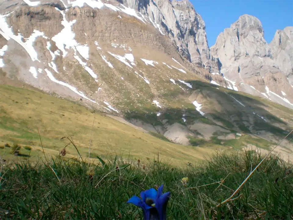Muere un vecino de Zaragoza en un accidente de monta&ntilde;a cerca de Sallent de G&aacute;llego