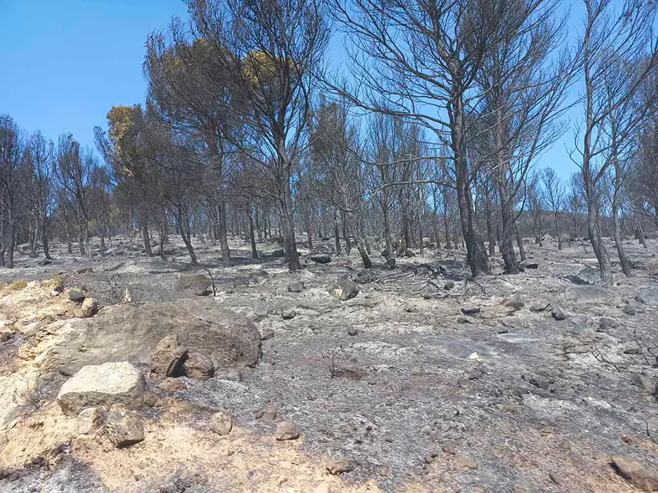 Incendio