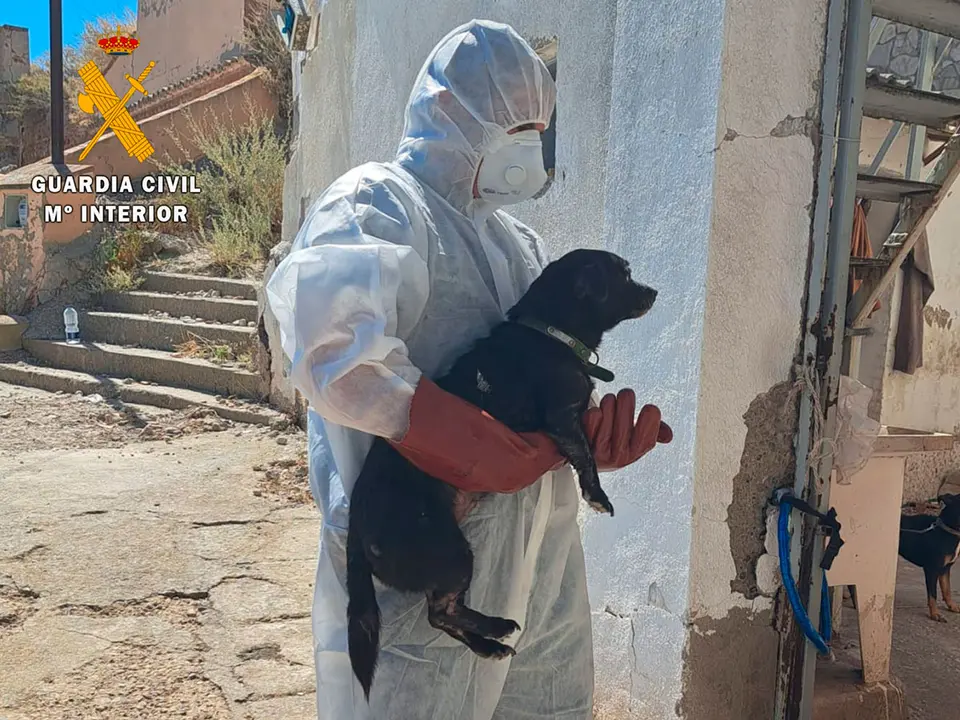 Los animales presentaban desnutrici&oacute;n, deshidrataci&oacute;n, par&aacute;sitos internos y externos, reacciones al&eacute;rgicas y diversas patolog&iacute;as