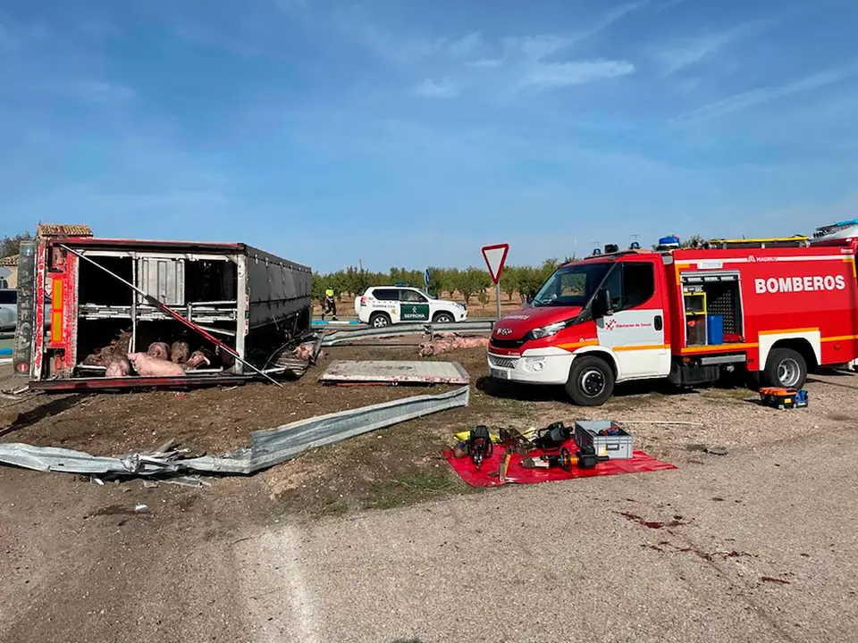 Accidente de un cami&oacute;n de cerdos en Valdealgorfa
