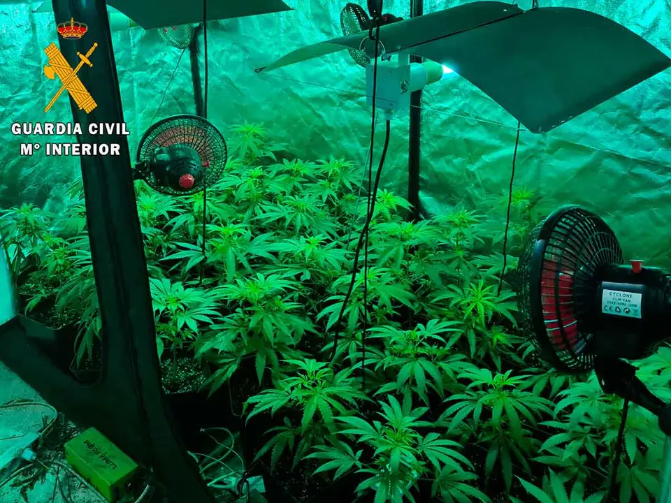 El hombre cultivaba la droga en el interior de armarios de grandes dimensiones, acondicionados con todo lo necesario para el proceso de crecimiento (luminarias, sistemas de temperatura, ventilaci&oacute;n, extracci&oacute;n). Foto: Guardia Civil