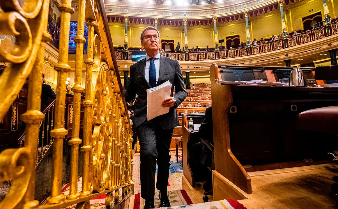 Feij&oacute;o, en el Congreso de los Diputados 