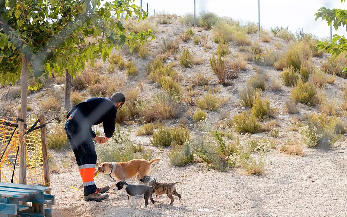 Las asociaciones que aspiren a ellas deber&aacute;n presentar proyectos de divulgaci&oacute;n y sensibilizaci&oacute;n sobre la protecci&oacute;n animal