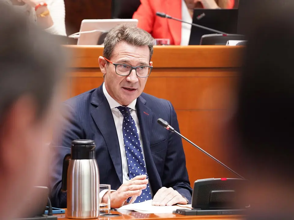 El director general de Trabajo ha comparecido en las Cortes. Foto: Cortes de Arag&oacute;n