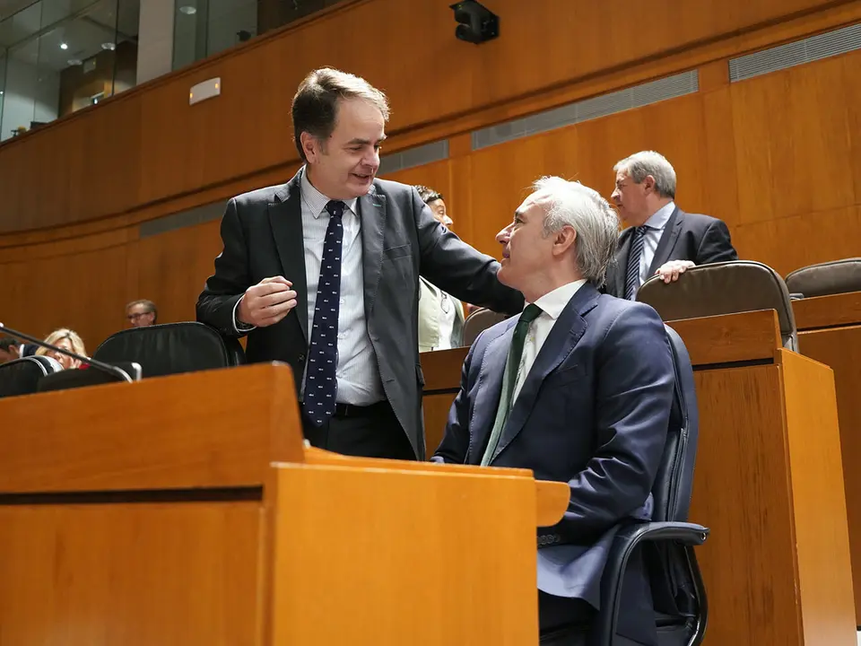 Berm&uacute;dez de Castro ha intervenido en el Pleno de este viernes a propuesta del socialista &Oacute;scar Galeano