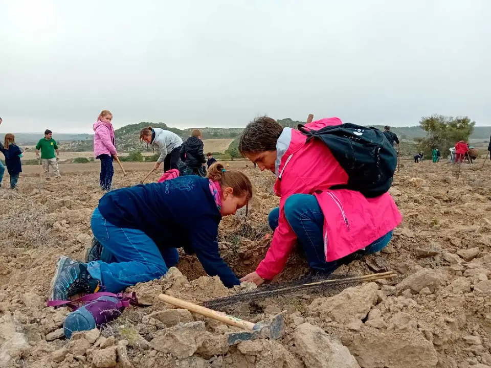 ni&ntilde;os y familias plantan el Bosque de los Zaragozanos
