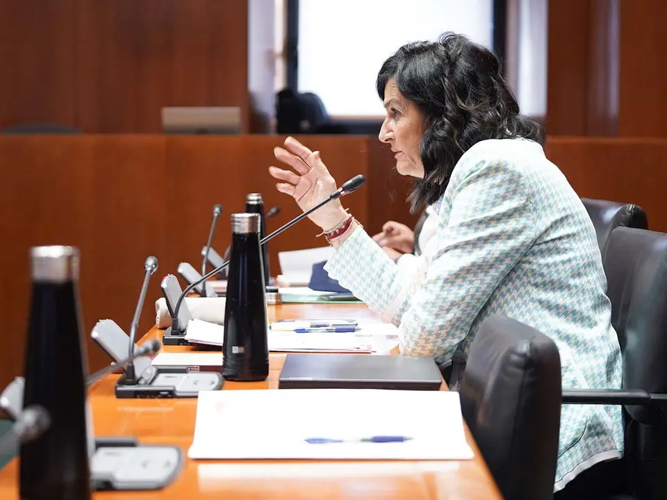 CHA defender&aacute; una iniciativa en el pr&oacute;ximo Pleno. Foto: Cortes de Arag&oacute;n