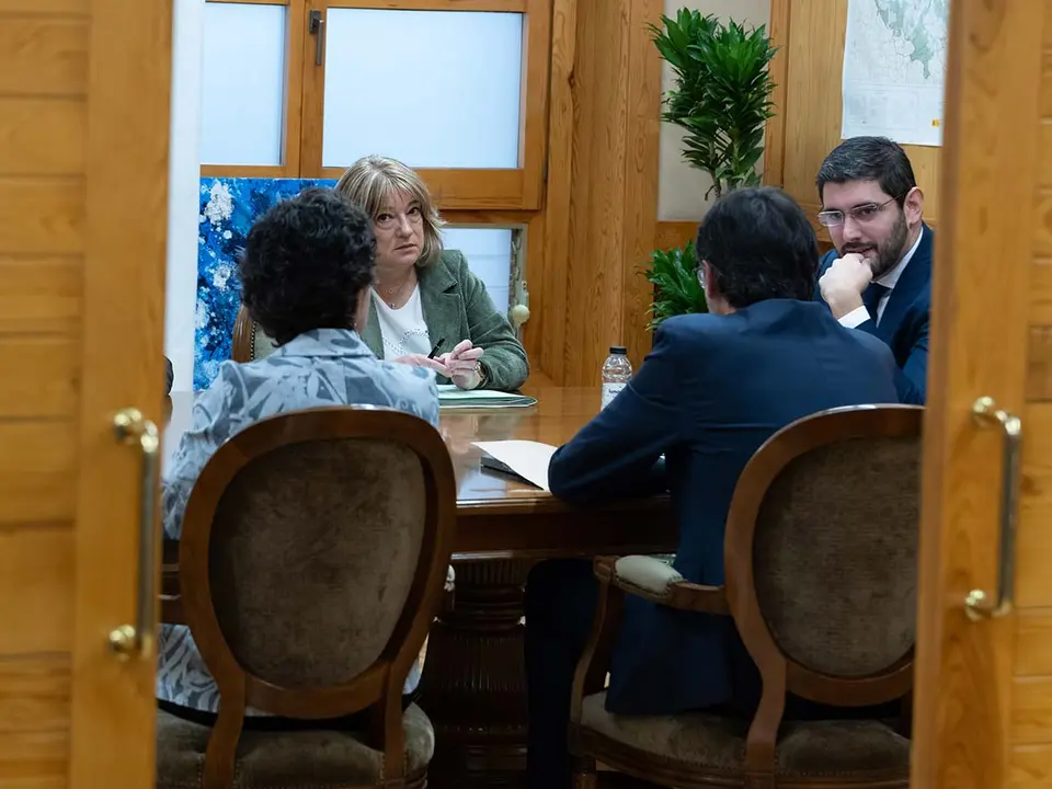 El vicepresidente Nolasco y la responsable de Presidencia, Tomasa Hern&aacute;ndez, son los dos consejeros dentro del grupo de trabajo para dar forma al recurso. Foto: Gobierno de Arag&oacute;n