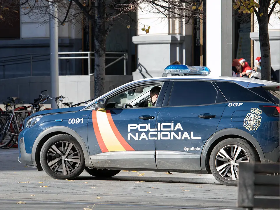 Los dos detenidos han quedado en libertad con cargos tras declarar ante el juez