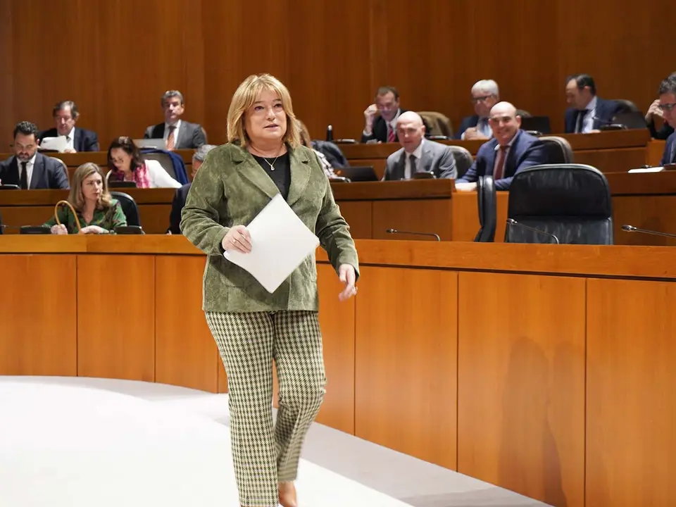 La consejera de Presidencia ha presentado este jueves el nuevo proyecto legislativo, con cr&iacute;ticas de toda la oposici&oacute;n. Foto: Cortes de Arag&oacute;n