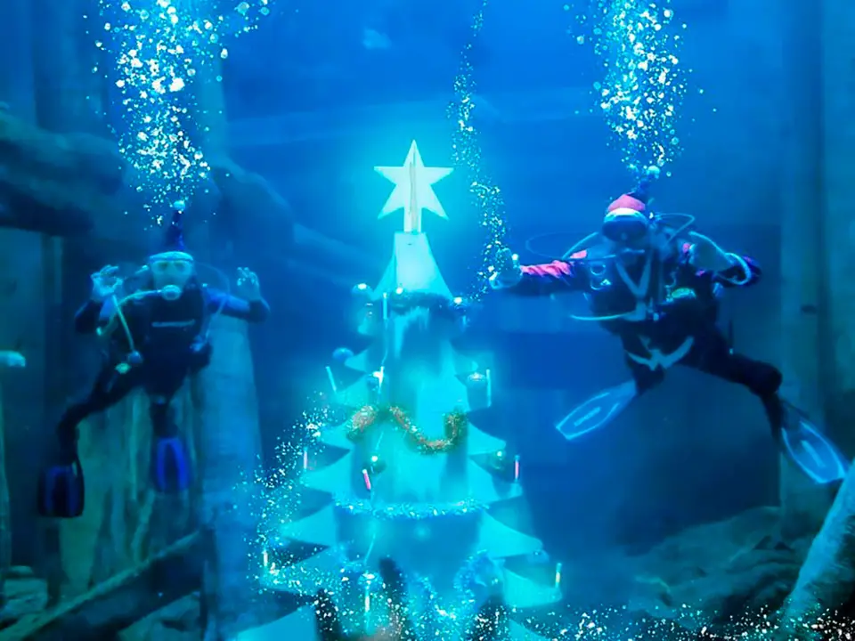 El Acuario de Zaragoza se suma a las decoraciones navide&ntilde;as con un gran &aacute;rbol subacu&aacute;tico.