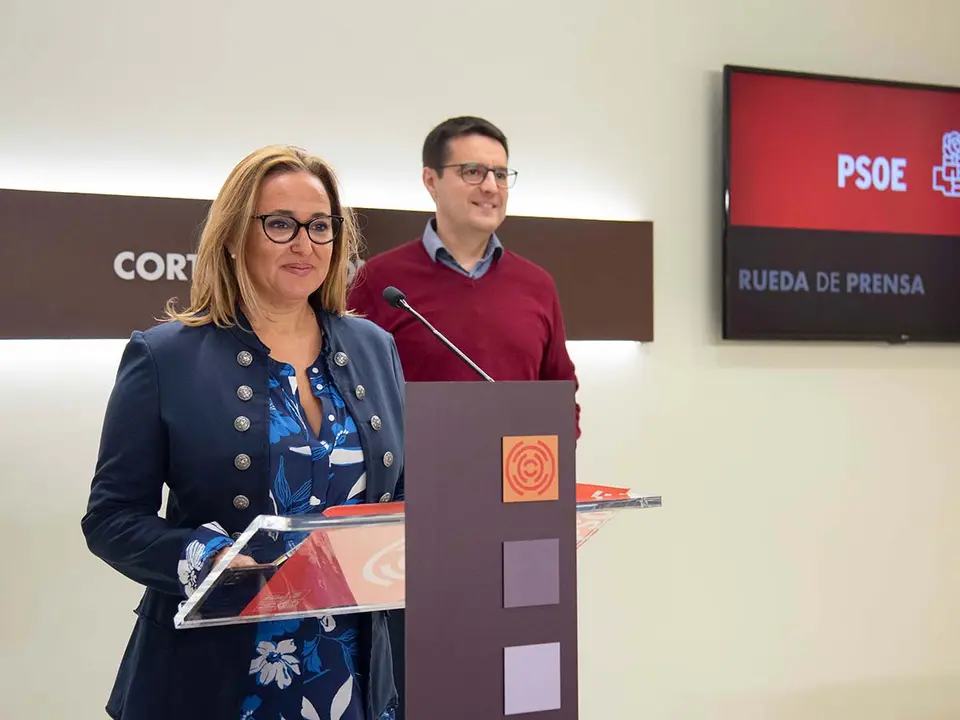 El PSOE ha presentado casi 500 enmiendas. Foto: PSOE Arag&oacute;n