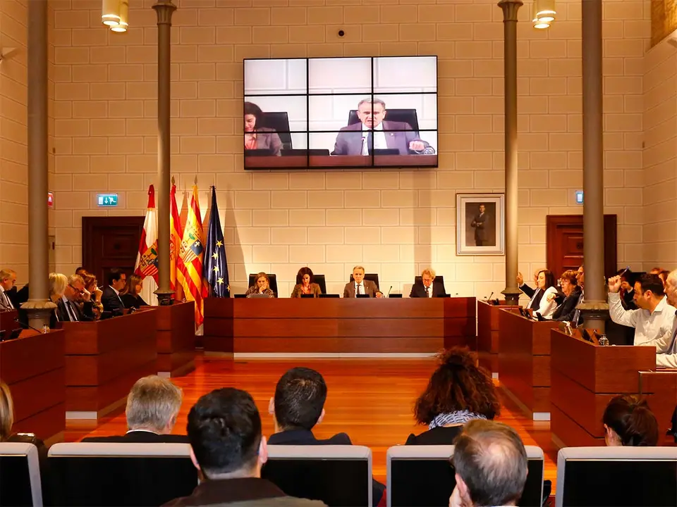 La vicepresidenta, Teresa Ladrero, ha incidido en estas l&iacute;neas. Foto: DPZ