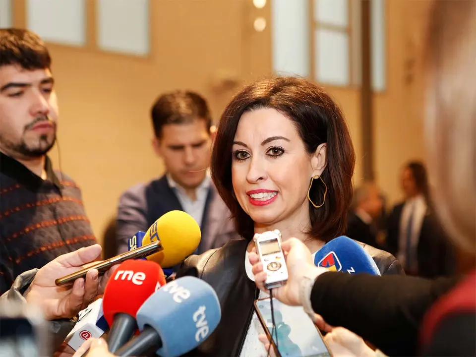 La vicepresidenta Teresa Ladrero, ha ofrecido declaraciones antes del Pleno, mientras que el PP asegura que no les han dejado contestar antes de la sesi&oacute;n. Foto: DPZ