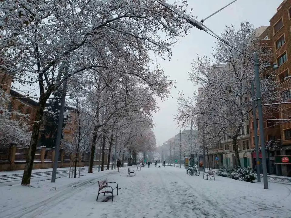 nieve