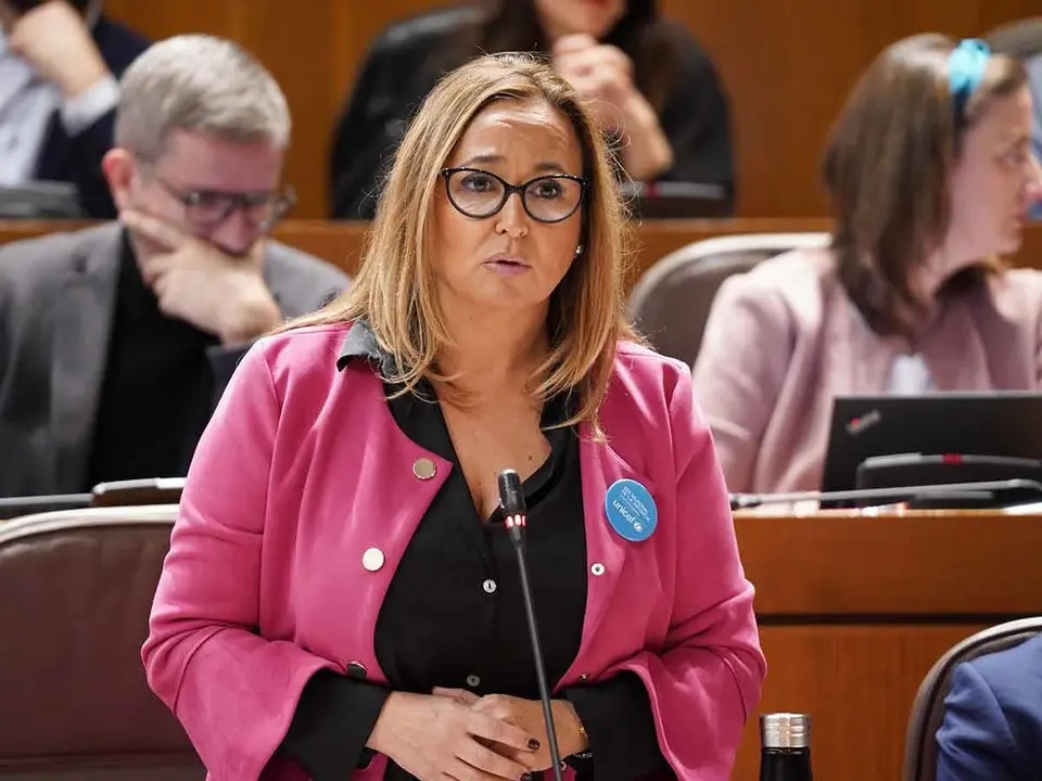 El PSOE exige el cumplimiento de la normativa de transparencia. Foto: Cortes de Arag&oacute;n