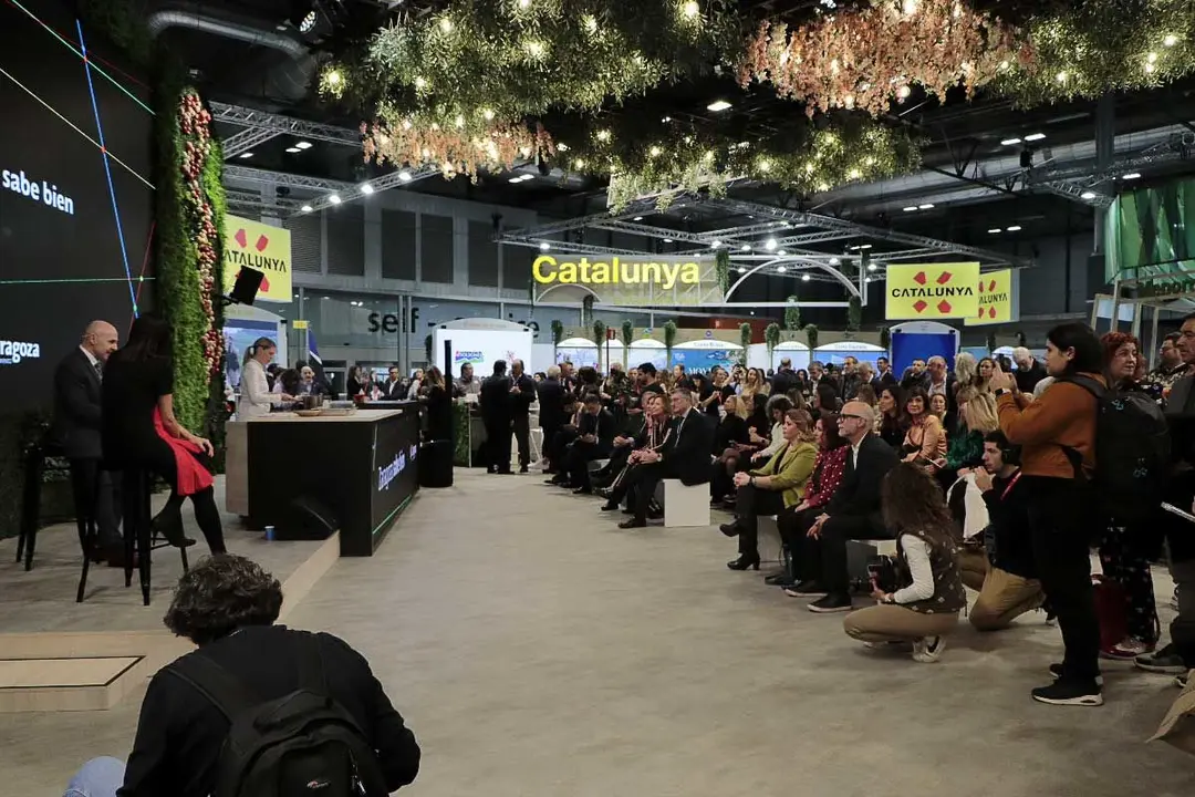 fitur-33