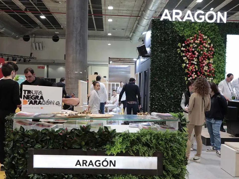 MADRID-FUSION