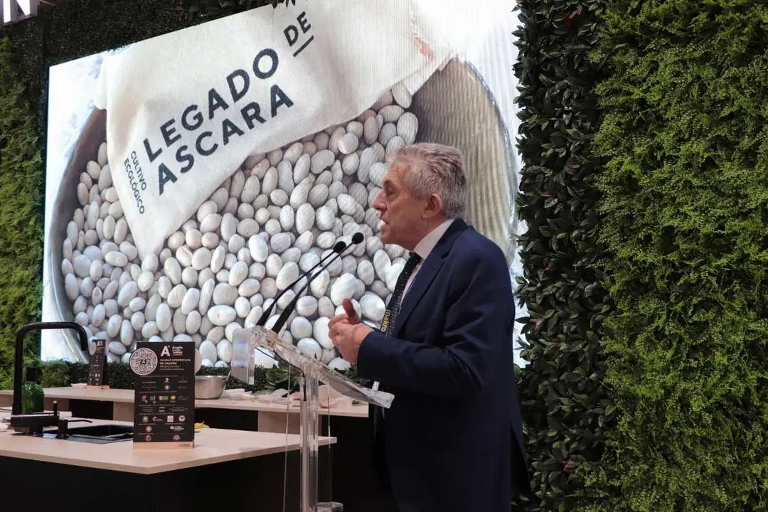 madrid-fusion-14