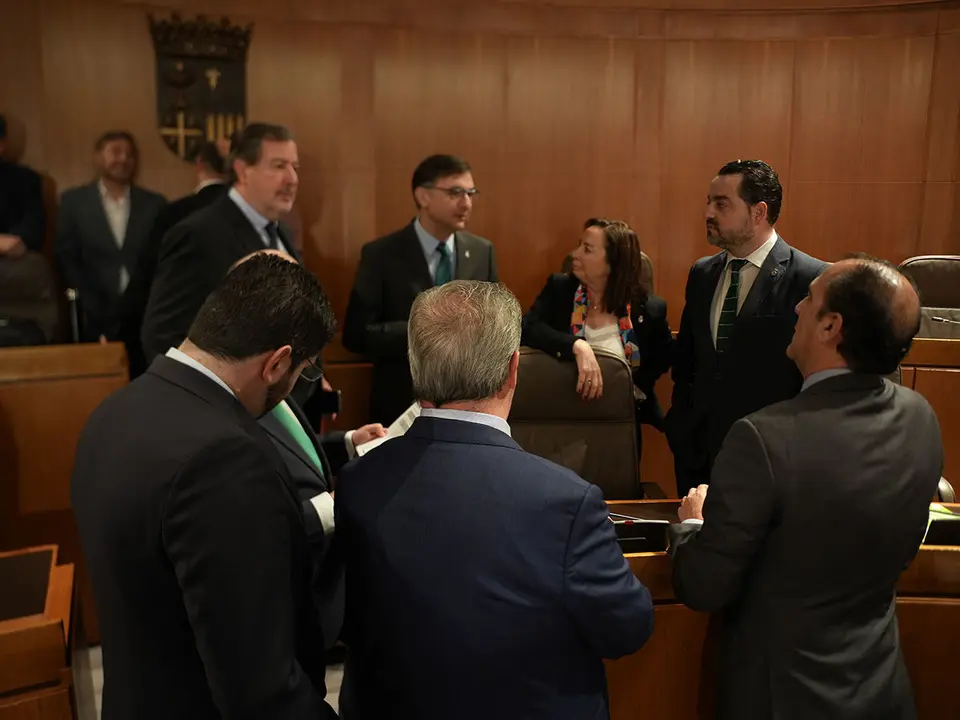Pleno-Cortes-7