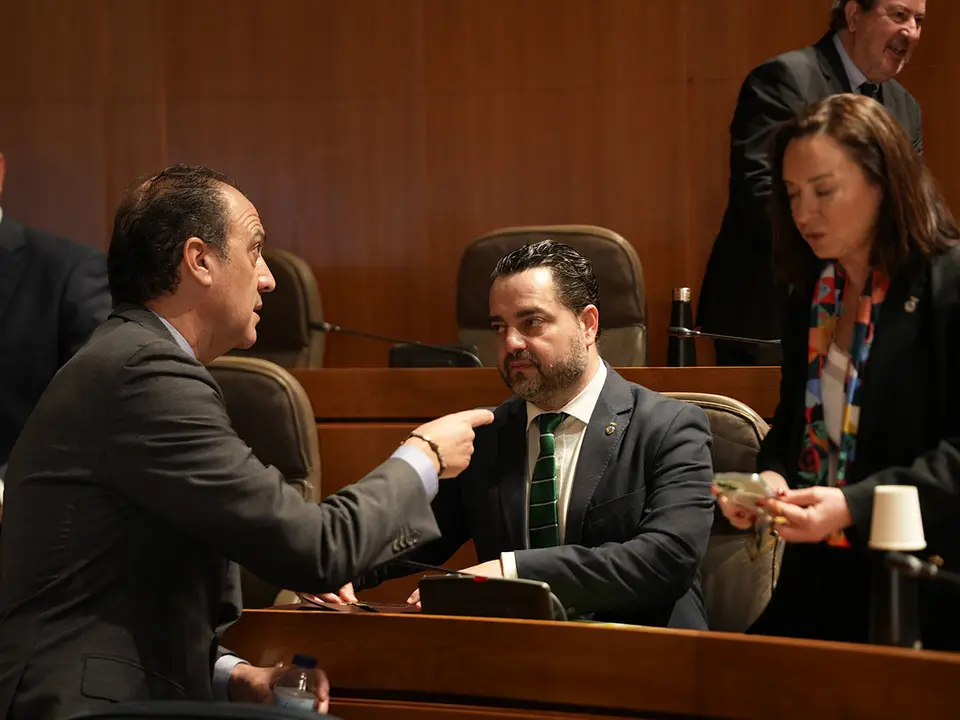 Pleno-Cortes-10