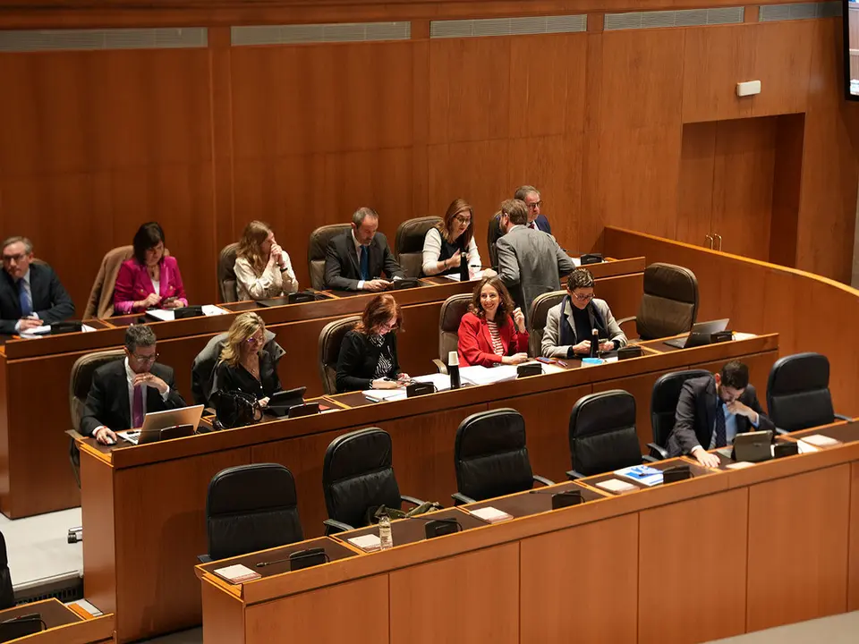 Pleno-Cortes-18
