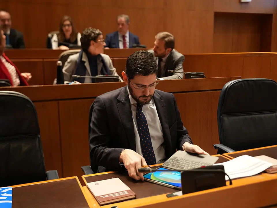 PP y Vox no han contado con el respaldo del PAR, que se ha abstenido. Foto: Andr&eacute;s Garc&iacute;a