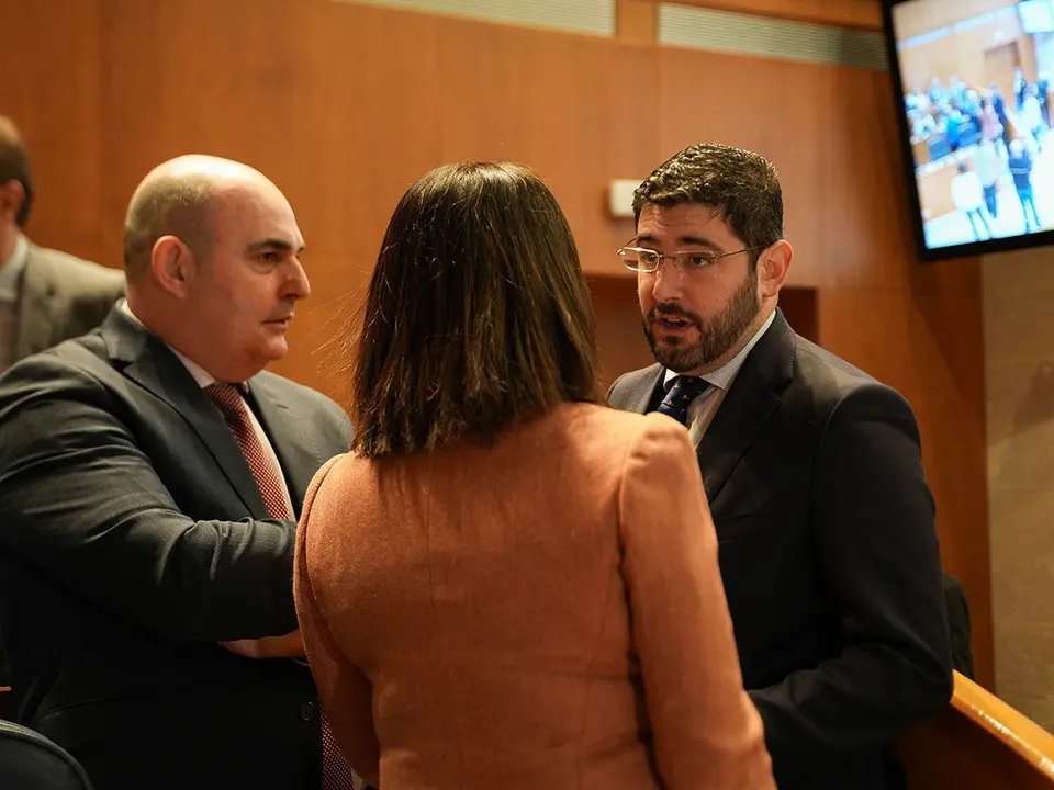 Pleno-Cortes-26