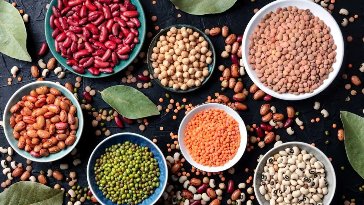 Legumes assortment, shot from the top on a black background. Lentils, soybeans, chickpeas, red kidney beans, a vatiety of pulses