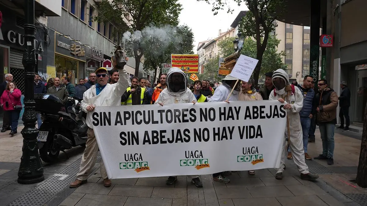 Protestas-Zaragoza-5