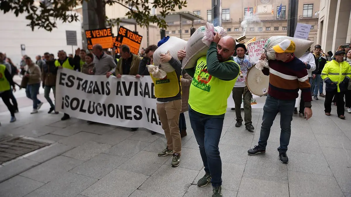 Protestas-Zaragoza-11