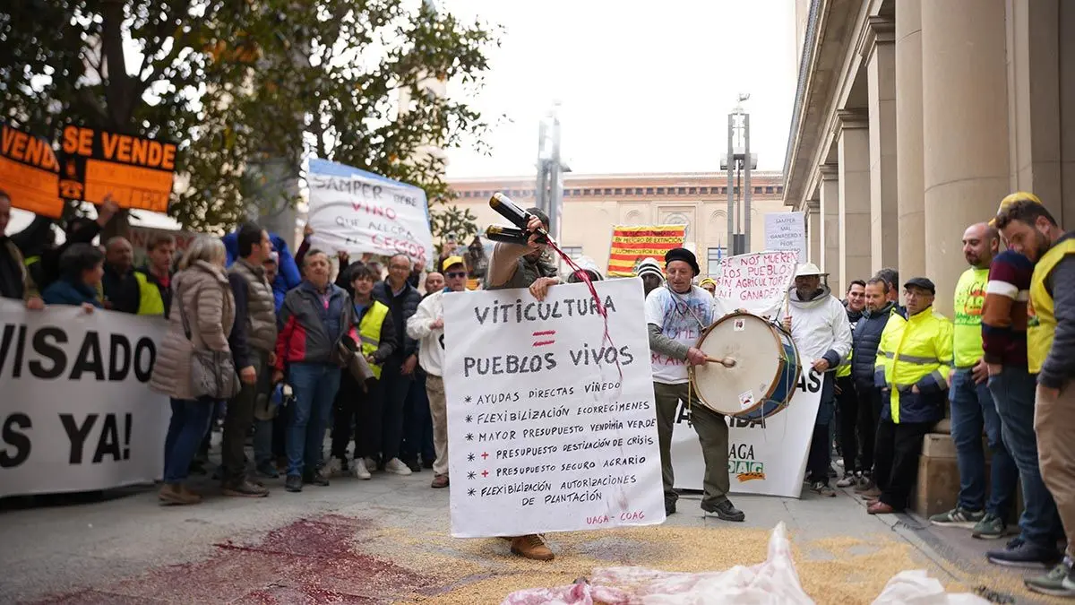 Protestas-Zaragoza-12