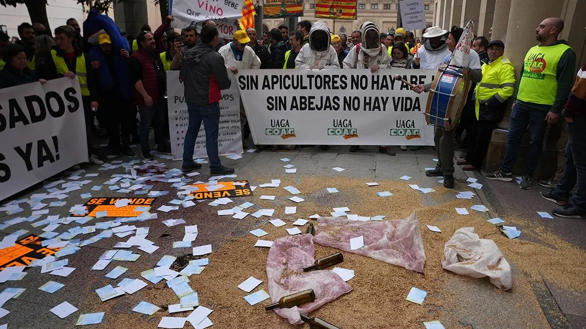 Protestas-Zaragoza-27