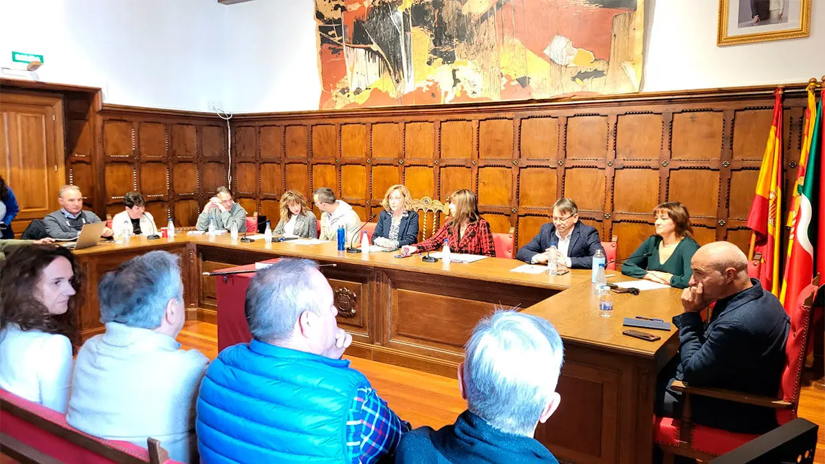 Este lunes se ha celebrado un pleno extraordinario. Foto: PAR