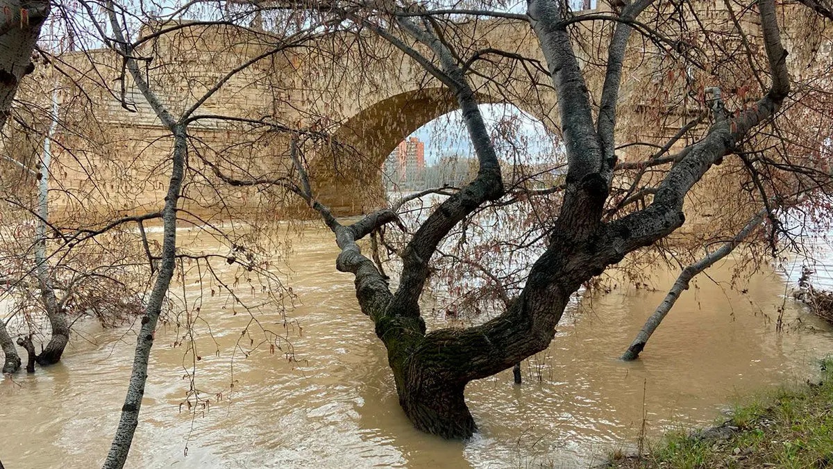 crecida-ebro-6