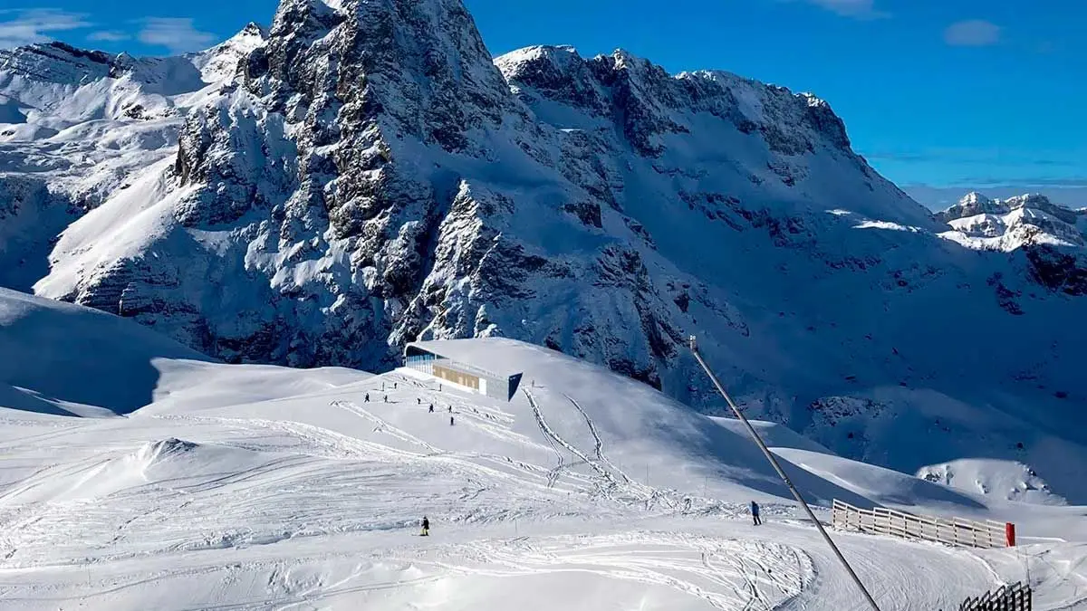 nieve