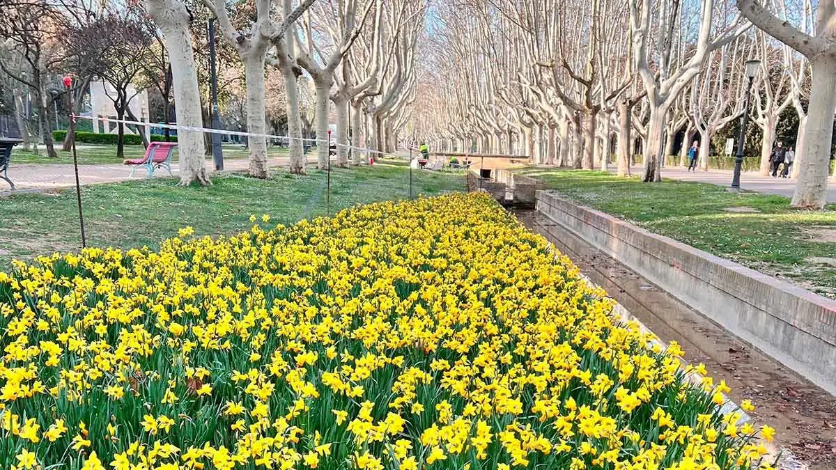 floresenparques