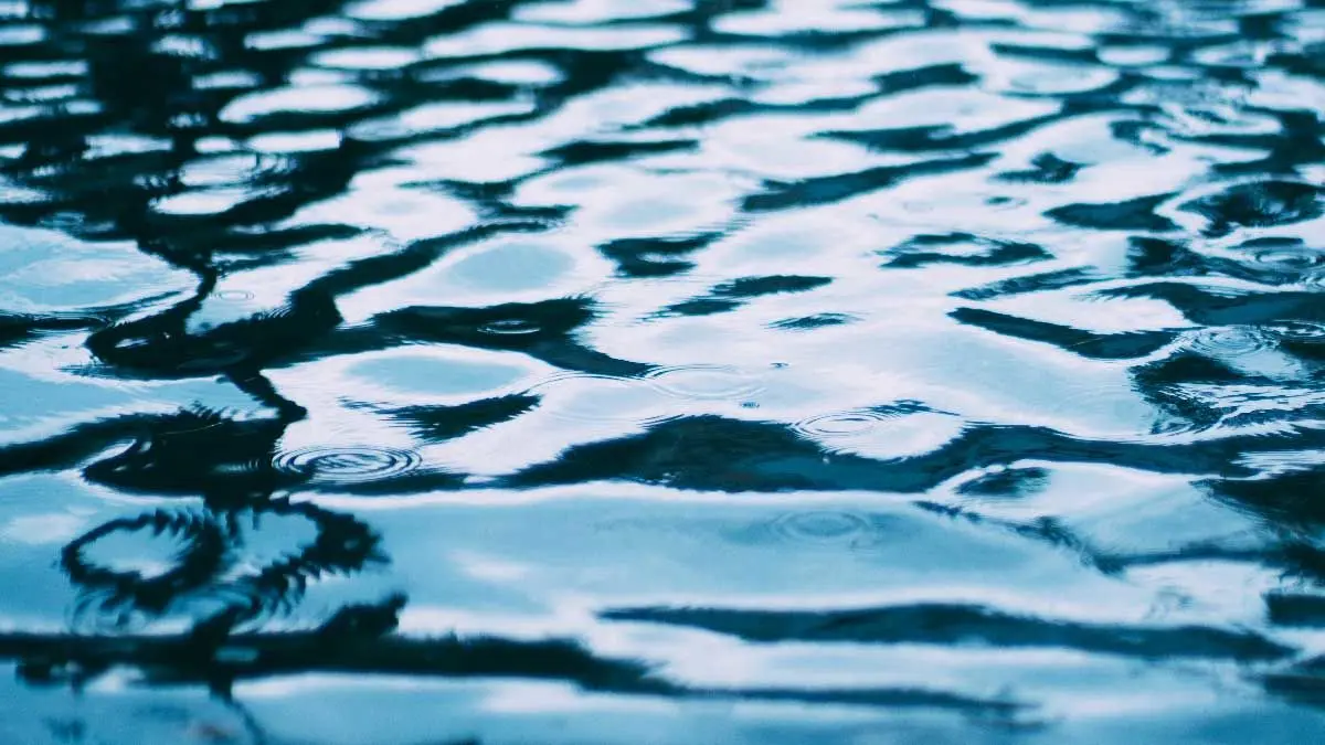 d&iacute;a-mundial-agua