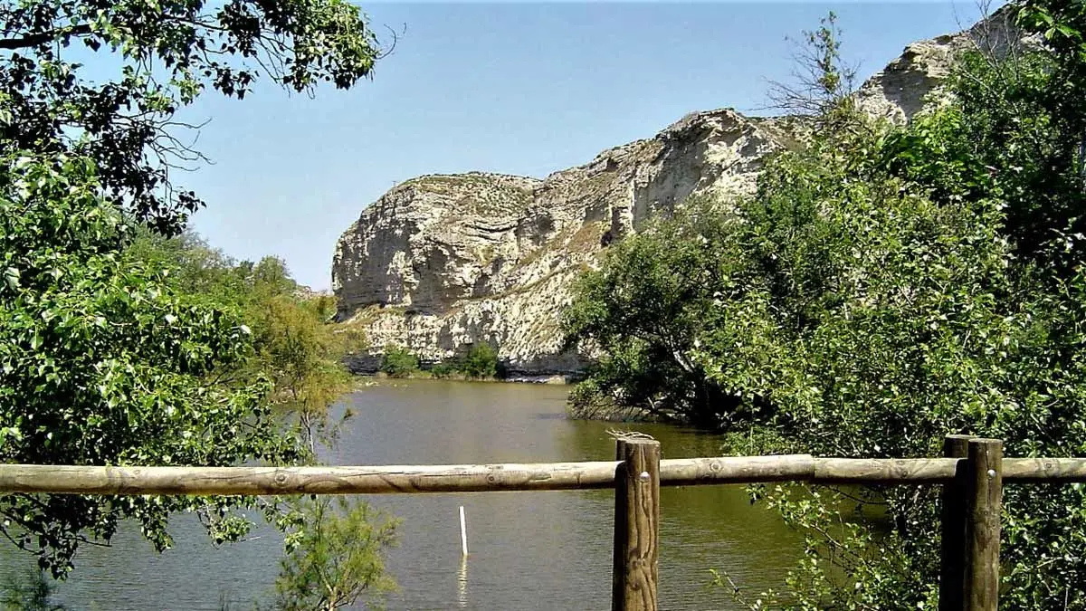 galacho-de-juslibol-contrato-Ayuntamiento-de-Zaragoza-montes-riberas