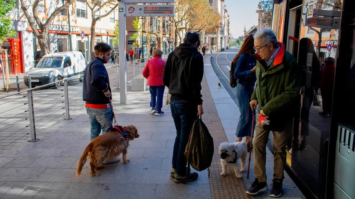foto-perro