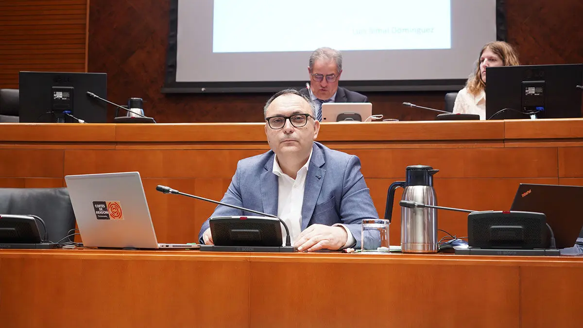El nuevo director del Inaga, Luis Simal. Foto: Cortes de Arag&oacute;n