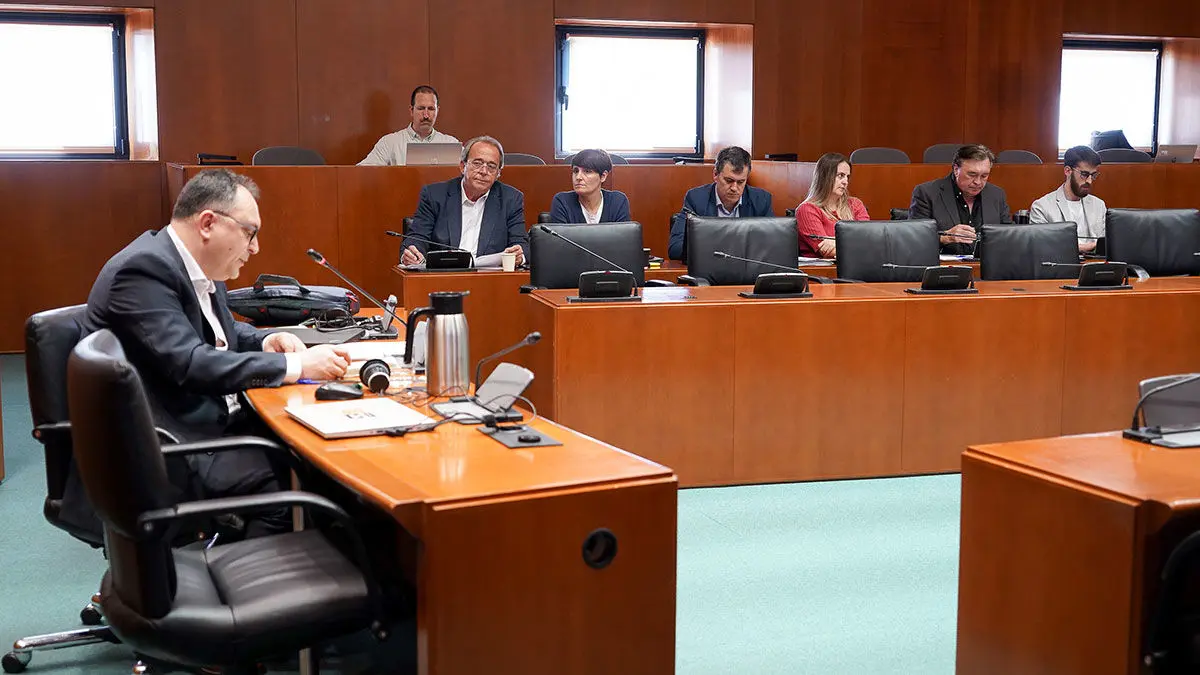 El director del Inaga durante la Comisi&oacute;n de Investigaci&oacute;n. Foto: Cortes de Arag&oacute;n