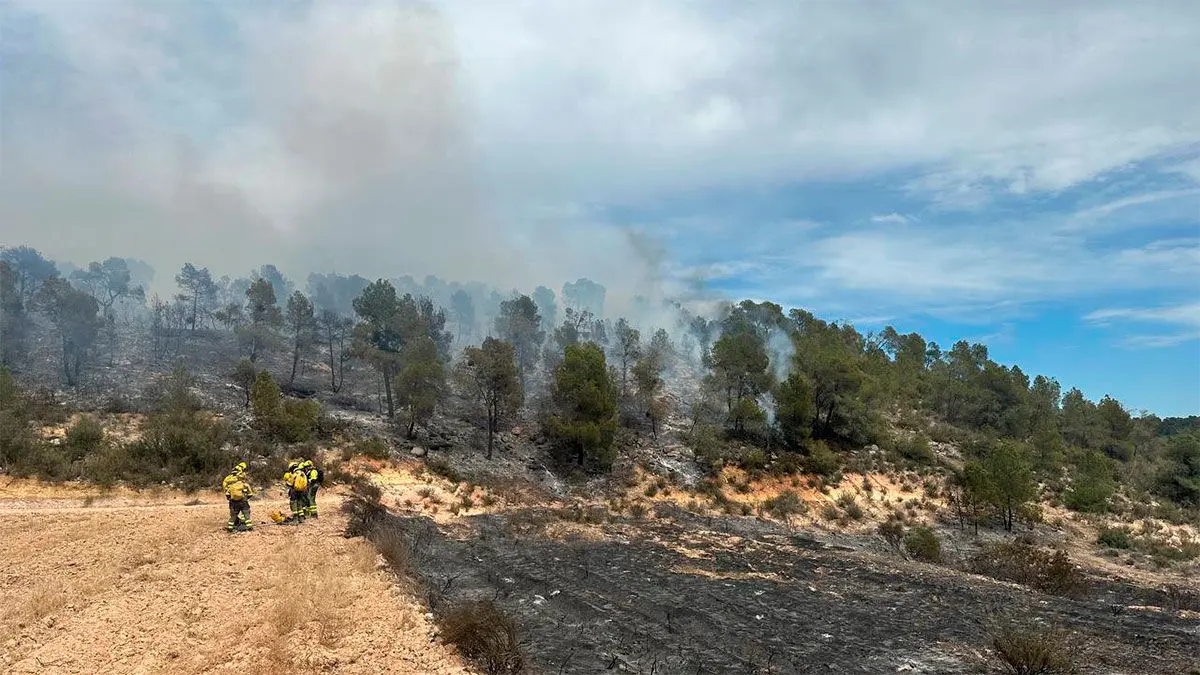 Imagen del incendio. Foto: Generalitat de Catalu&ntilde;a