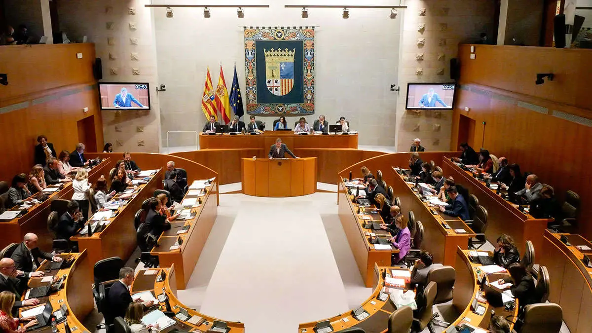 Vista del Pleno de las Cortes, este jueves. Foto: Carla Greenwood