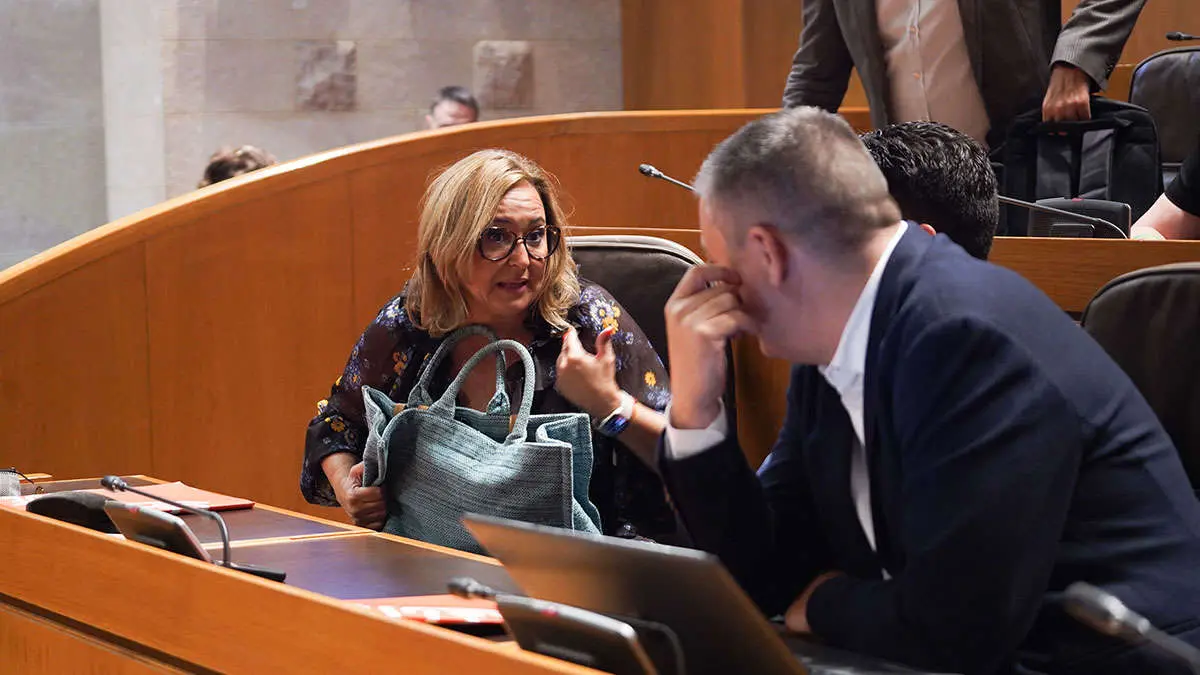 La portavoz del PSOE, Mayte P&eacute;rez. Foto: Cortes de Arag&oacute;n