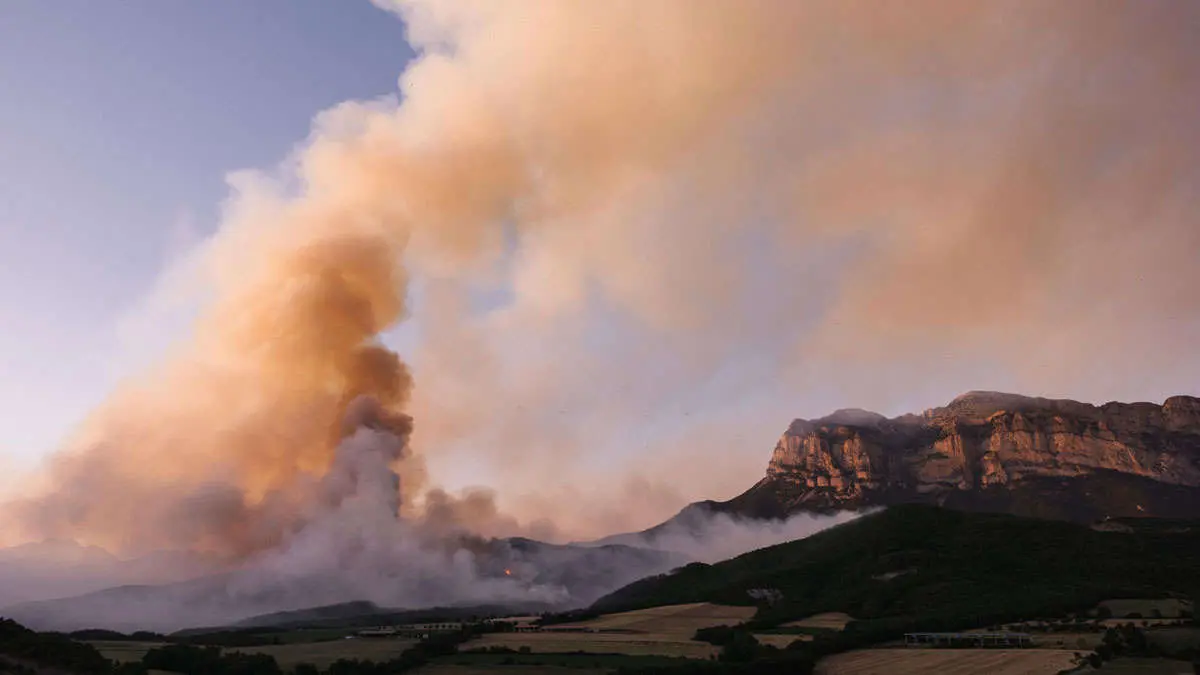 El operativo desplegado por el Departamento de Medio Ambiente incluye 62 brigadas forestales