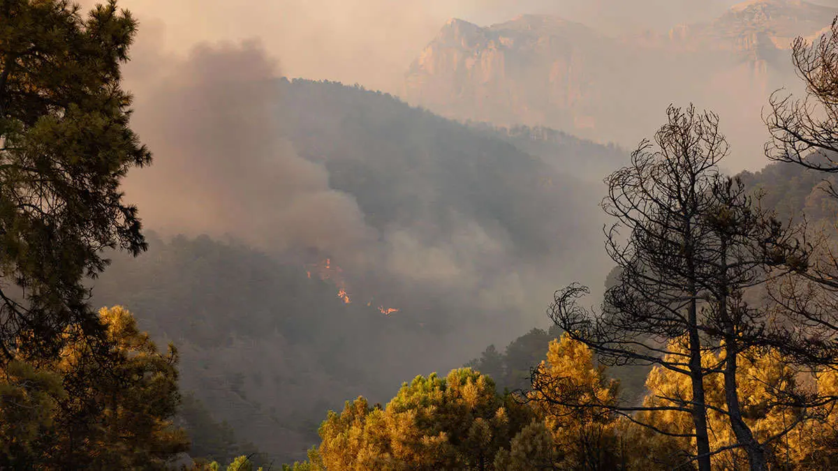 Vista del incendio en sus primeras horas. Foto: Eduardo Ezequiel (DGA)